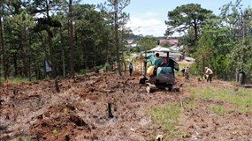 Thừa Thiên - Huế: Công ty CP Long Thọ lấn chiếm hàng nghìn m2 đất rừng