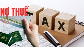 Trung tâm phát triển và Khai thác hạ tầng nợ thuế hơn 219 tỷ đồng