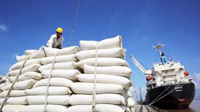 'Bản đồ' doanh nghiệp gạo trên sàn chứng khoán: Ai đang dẫn dắt cuộc chơi?