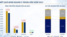 Doanh thu và lợi nhuận PNJ giảm, cổ phiếu cũng giảm giá