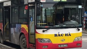 Hà Nội: Doanh nghiệp xe buýt xin dừng hoạt động vì nguy cơ vỡ nợ