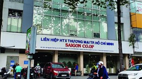 Cung cấp hàng hoá không đảm bảo chất lượng, SaiGon Co.op bị cấm thầu 3 năm
