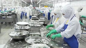 Một DN thuỷ sản kiệt quệ: Cổ phiếu giá 500 đồng, lỗ lũy kế 1.700 tỷ
