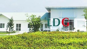 Cổ phiếu LDG tăng mạnh sau khi cựu chủ tịch tái xuất