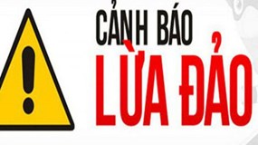 Cảnh báo giả mạo cơ quan thuế để lừa hộ, cá nhân kinh doanh cập nhật thông tin