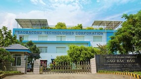 Sao Bắc Đẩu: Lãi suy giảm, nợ phải trả gấp 2,5 lần vốn chủ sở hữu