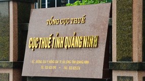 Quảng Ninh: Điểm tên loạt DN nợ thuế hơn 2.800 tỷ đồng