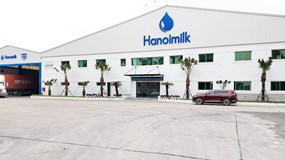 Chi phí lãi vay đè nặng lợi nhuận của Hanoimilk