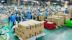 Nhựa sinh thái Việt Nam: Lãi tăng 70%, nhưng dòng tiền kinh doanh vẫn âm triền miên