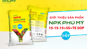 Phân bón Phú Mỹ chính thức ra mắt sản phẩm mới NPK PHÚ MỸ 15-15-15+5S+TE SOP sử dụng 100% Kali Sulphate