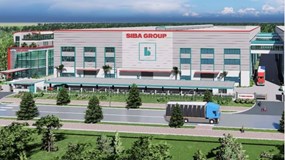 Siba Group: Nợ vay tăng 63%, liên tục phải thanh lý tài sản