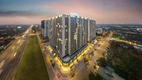 An Gia có đang ‘làm xiếc’ với dòng tiền?