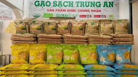 Gạo Trung An nối dài chuỗi thua lỗ