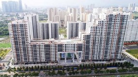 Công ty Thuận Việt, New City Thủ Thiêm, nợ thuế, Thuế Tp.HCM