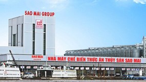 Sao Mai báo lãi teo tóp, tiền mặt “bốc hơi” một nửa