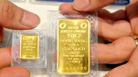 Giá vàng hôm nay 11/8: Giá bán vàng miếng SJC lùi dần về mốc 66 triệu đồng/lượng