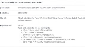 Công bố thông tin sai thời hạn, Công ty Hồng Hoàng bị phạt