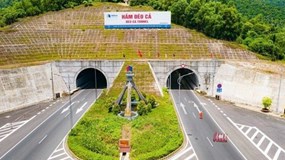 Giao thông Đèo Cả dùng 800 tỷ đồng từ chào bán cổ phiếu vào việc gì?