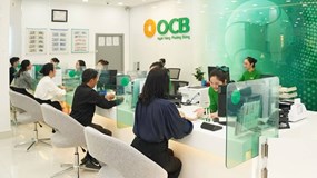 OCB phân phối hơn 197 triệu cổ phiếu, tăng vốn điều lệ lên hơn 26.600 tỷ đồng