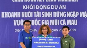 Đẩy mạnh dự án “cánh rừng Net Zero”, Vinamilk khoanh nuôi tái sinh 25ha rừng ngập mặn Cà Mau