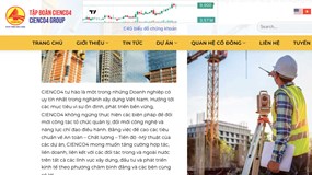 CIENCO4: Lợi nhuận 'lao dốc', liên tục vi phạm đấu thầu