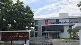 Cảng vụ hàng hải Đồng Nai, Sonadezi, Phân bón miền Nam và nhiều doanh nghiệp nợ thuế