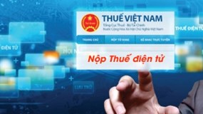 Tiến tới 100% thủ tục hành chính ngành Thuế thực hiện trực tuyến