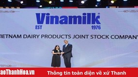 Vinamilk - “Thương hiệu hấp dẫn” trên thị trường tuyển dụng đạt giải nơi làm việc tốt nhất Châu Á