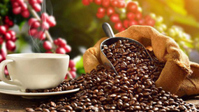Xuất khẩu cà phê hướng đến mục tiêu kim ngạch 4 tỷ USD năm 2023