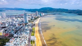 Bình Định: Thu hồi hai dự án trong Khu kinh tế Nhơn Hội vì vi phạm Luật đất đai