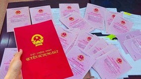 Hà Nội: Từ 3/9, hồ sơ đất đai được tiếp nhận trực tuyến
