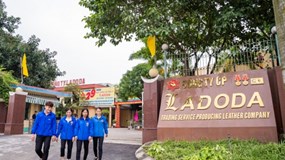 Lợi nhuận ròng bèo bọt, Ladoda đã phủ sóng các gói thầu như thế nào?