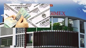 Lý do Angimex (AGM) không trả được lãi lô trái phiếu 350 tỷ đồng