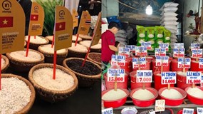 Giá gạo xuất khẩu Việt Nam bị ảnh hưởng thế nào từ lệnh áp trần của Philipines?
