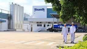 Vinamilk và bài học biến chi phí xanh thành sức mạnh thương hiệu
