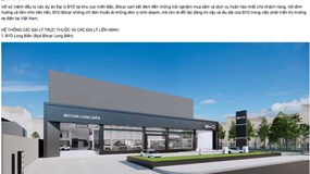 Bitcar Việt Nam: Chuyên bán ô tô Trung Quốc, năm 2024 báo lỗ gần 9,8 tỷ