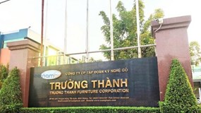 Gỗ Trường Thành, Petrosetco bị HoSE nhắc nhở