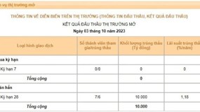 Ngân hàng Nhà nước đã phát hành 110.000 tỷ đồng qua kênh tín phiếu