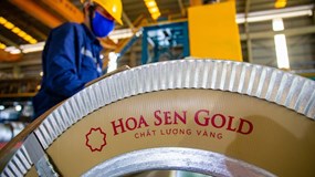 Hoa Sen giải thể công ty cảng quốc tế sau 6 năm 'nằm trên giấy'