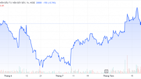 Cổ phiếu NBB giảm 70% giá trị, Năm Bảy Bảy muốn bán hết cổ phiếu quỹ
