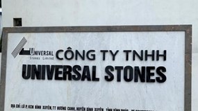 Nợ thuế hơn 4,8 tỷ đồng, Công ty Universal Stones bị dừng làm thủ tục hải quan