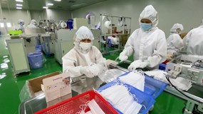 Về tay nhóm đầu tư cá nhân, Danameco kinh doanh ngày càng đổ dốc