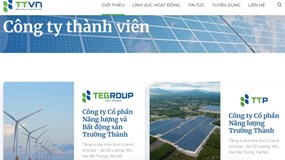 Năng lượng và BĐS Trường Thành: Tài sản hàng nghìn tỷ, bị nêu tên chậm đóng BHXH