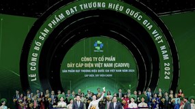 GELEX sở hữu 4 Thương hiệu quốc gia năm 2024