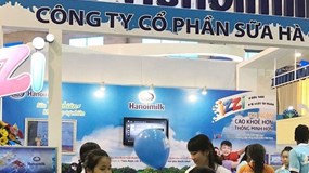 Vay cá nhân giảm mạnh, ai là chủ nợ lớn nhất của Hanoimilk?
