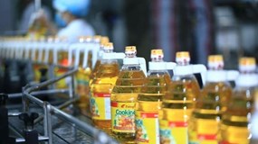 Tạo sao Tập đoàn Kido (KDC) bị phạt hàng trăm triệu đồng?