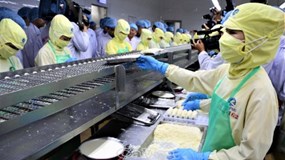 Nhóm doanh nghiệp nào hưởng lợi khi USD mạnh hơn?