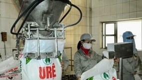 Đạm Hà Bắc lỗ gần 100 tỷ đồng, nợ phải trả gấp 8,5 lần vốn chủ sở hữu