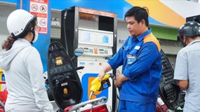 Giá xăng dầu hôm nay 25/10: Xăng dầu đồng loạt giảm
