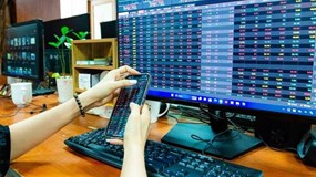 Lăng kính chứng khoán 30/10: VN-Index giảm sâu, liệu đã tới đáy?